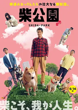 91精品国产品国语在线不卡