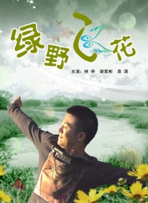显存温度