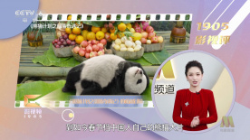 中文国产成人精品少久久